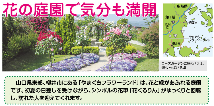 花の庭園で気分も満開　～山口県柳井市を散策　～広島の賃貸物件検索サイト　スマイミーコラム